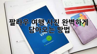 팔라우 여행 사진, 완벽하게 담아오는 방법!